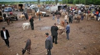 Фото с сайта voxpopuli.kz