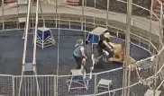 Камера сняла нападение льва на дрессировщика во время репетиции