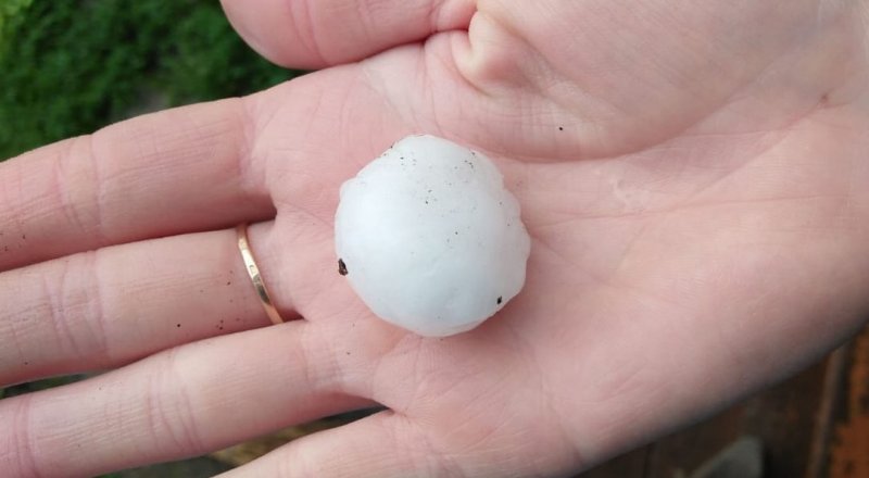 Источник фото yk-news.kz