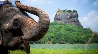 Шри-Ланка - курортный рай для туристов