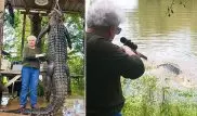 "Не связывайся с бабулей!": американка застрелила аллигатора из мести