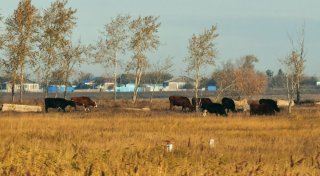 Фото Турар Казангапов ©