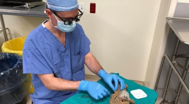 © @pdmcneely / Twitter