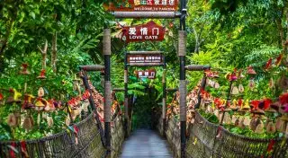 Туры на лучший курорт Поднебесной: прямой чартерный рейс на Хайнань