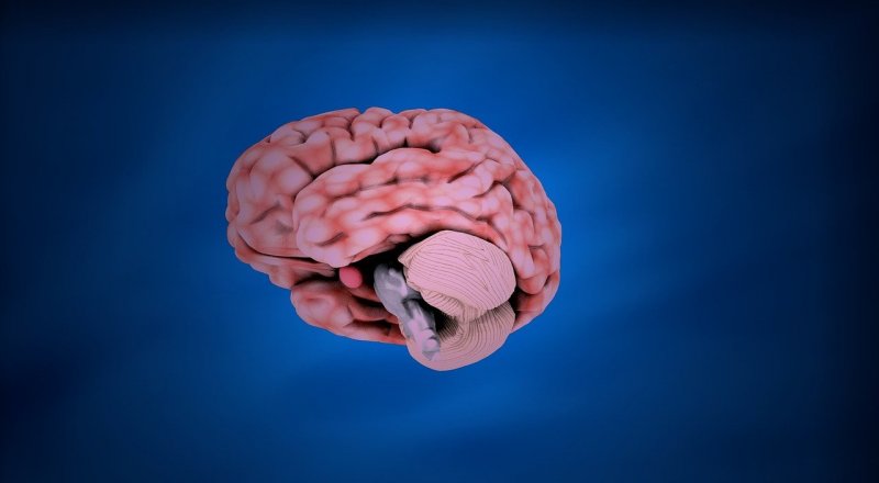 Фото: pixabay.com