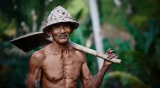 Эксперты раскрыли секрет долголетия