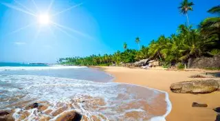 Чем хорош отдых на Шри-Ланке: 9 причин посетить родину цейлонского чая