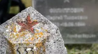 "Взял горсть земли с братской могилы, чтобы увезти ее в Казахстан". Захоронение солдата найдено в Венгрии