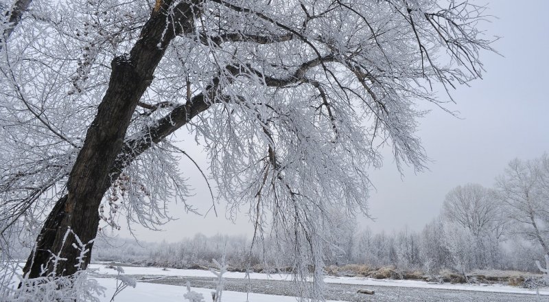 Иллюстративное фото: pixabay.com