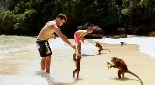 Для туристов на Пхукете выпустили сборник правил по общению с обезьянами