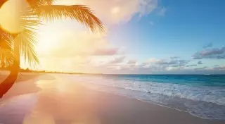 Зимы не будет: куда сбежать от холодов