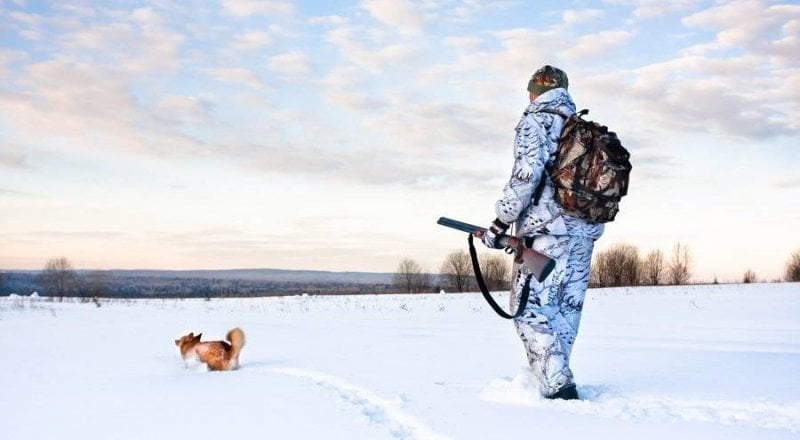 Иллюстративное фото:
grifoninfo.ru