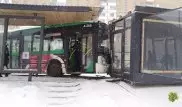 Автобус врезался в теплую остановку в Астане