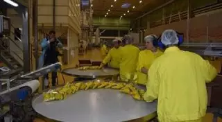 Три крупных предприятия планируют открыть в Алматинской области