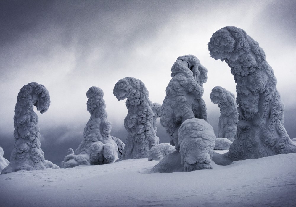 Красный песок и ледяные глыбы. Удивительные пейзажи с конкурса Landscape Photographer 2018: 2019-02-26 14:22:39 - прочитайте