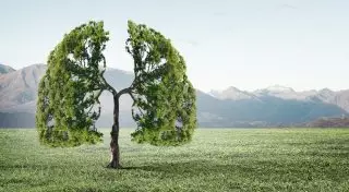 Эксперты назвали страны с самым чистым и грязным воздухом