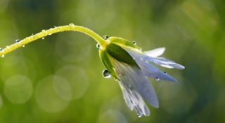 Иллюстративное фото: pixabay.com