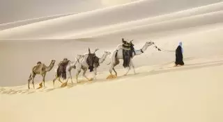 Манама - столица жемчужного Королевства Бахрейн