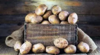 Трое мужчин и ребенок умерли из-за гнилой картошки в Акмолинской области