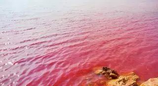 В Испании туристов будут штрафовать за купание в минеральных озерах