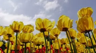 Резкое потепление ожидают в Казахстане