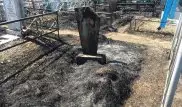 Кладбище сожгли в Петропавловске