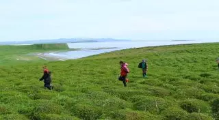 Командорские острова: туманы, киты и полная гармония