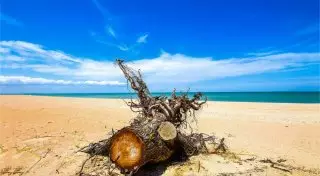 На итальянском курорте Римини перенесли открытие купального сезона