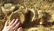 О необычной находке заявил мангистауский палеонтолог