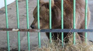 Фото пресс-службы ДУИС Костанайской области