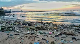 Мусор, выловленный в Средиземном море, оказался пригодным для переработки