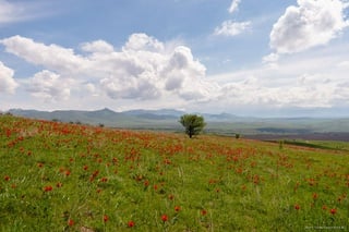 Фото ©Турар Казангапов