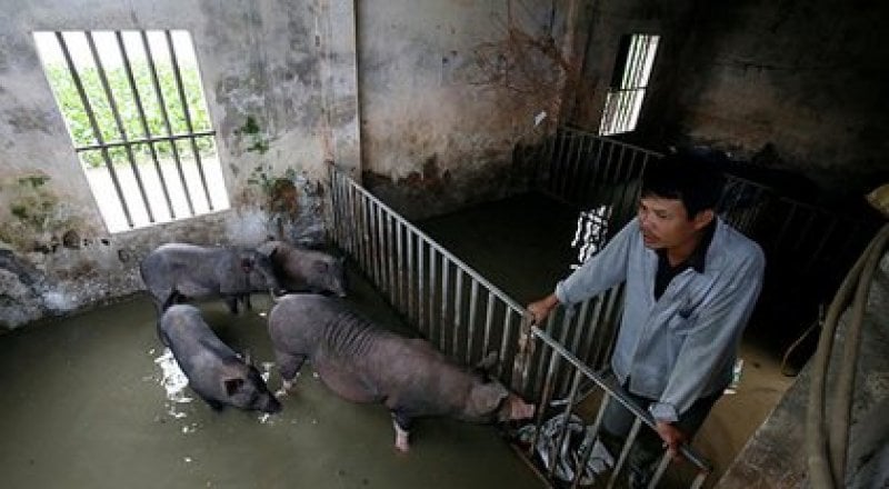 Фото: Nguyen Huy Kham / Reuters