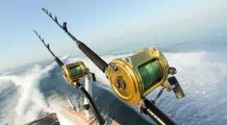 Разматывай удочки: кого ловить в водоемах Казахстана и мира?