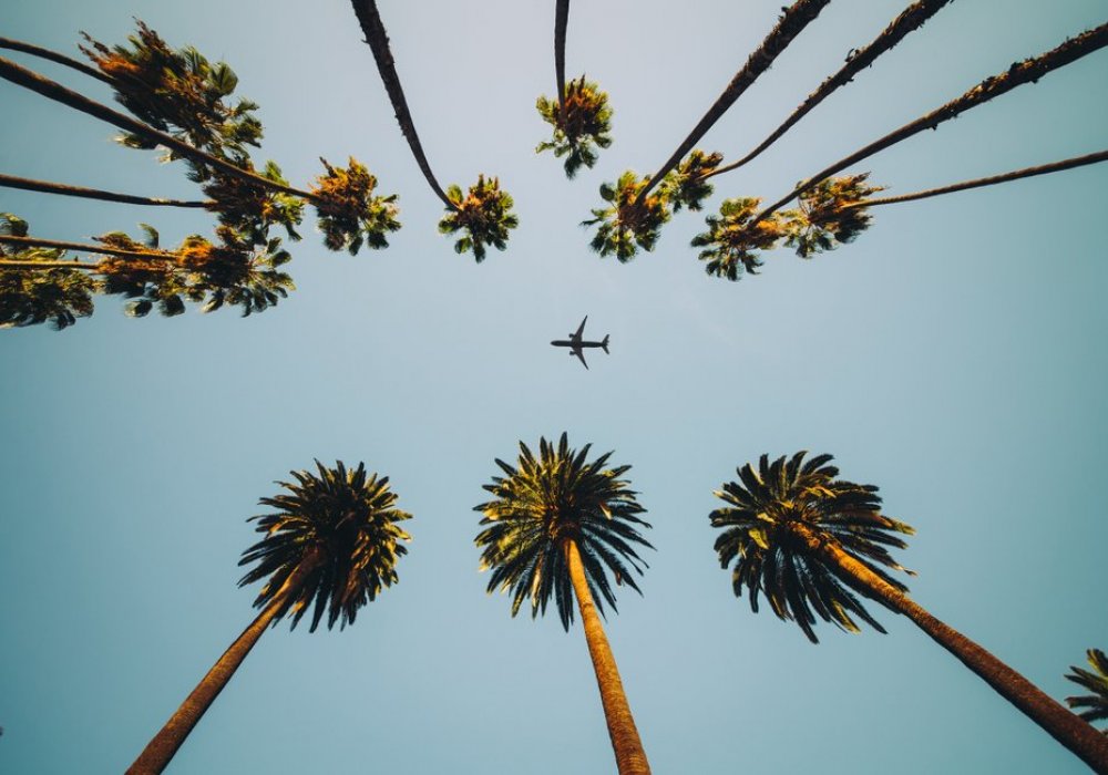 Фото©Shutterstock