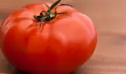 "Резиновые" помидоры обеспокоили пользователей Сети