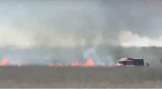 На Каспии горит природный резерват с краснокнижными животными