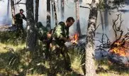 Появилось видео пожара на горе Жеке батыр в Боровом