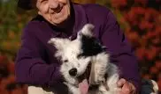 В США умерла самая умная собака в мире