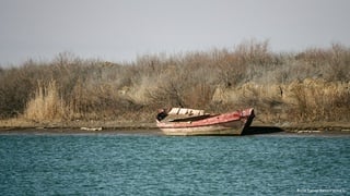 Фото Турар Казангапов ©