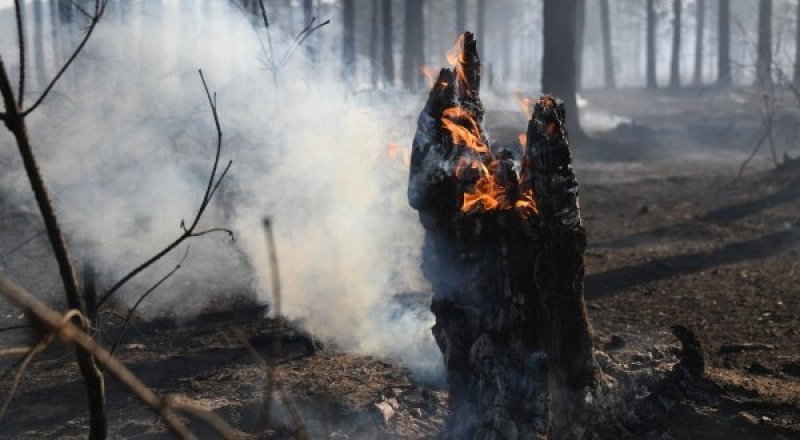 РИА Новости©