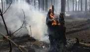 Из-за лесных пожаров режим ЧС введен в трех регионах Сибири