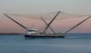 В SpaceX показали, как ловят части ракет плавающим кораблем