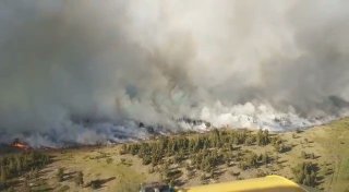 Пожар в национальном парке в Карагандинской области. Фото Tengrinews.kz