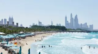 Пугающий фестиваль вегетарианцев и праздник молодого вина: куда ехать, если пропустили лето