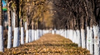 Фото Турар Казангапов