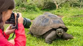 9 лучших для путешествий национальных парков мира