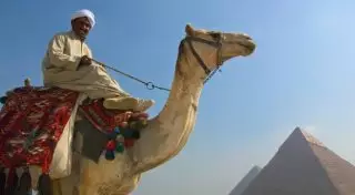 "Слезть с верблюда - 20 долларов". Как безопасно отдохнуть в Египте