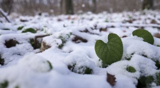 Фото ©Турар Казангапов