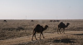 Иллюстративное фото ©Турар Казангапов 